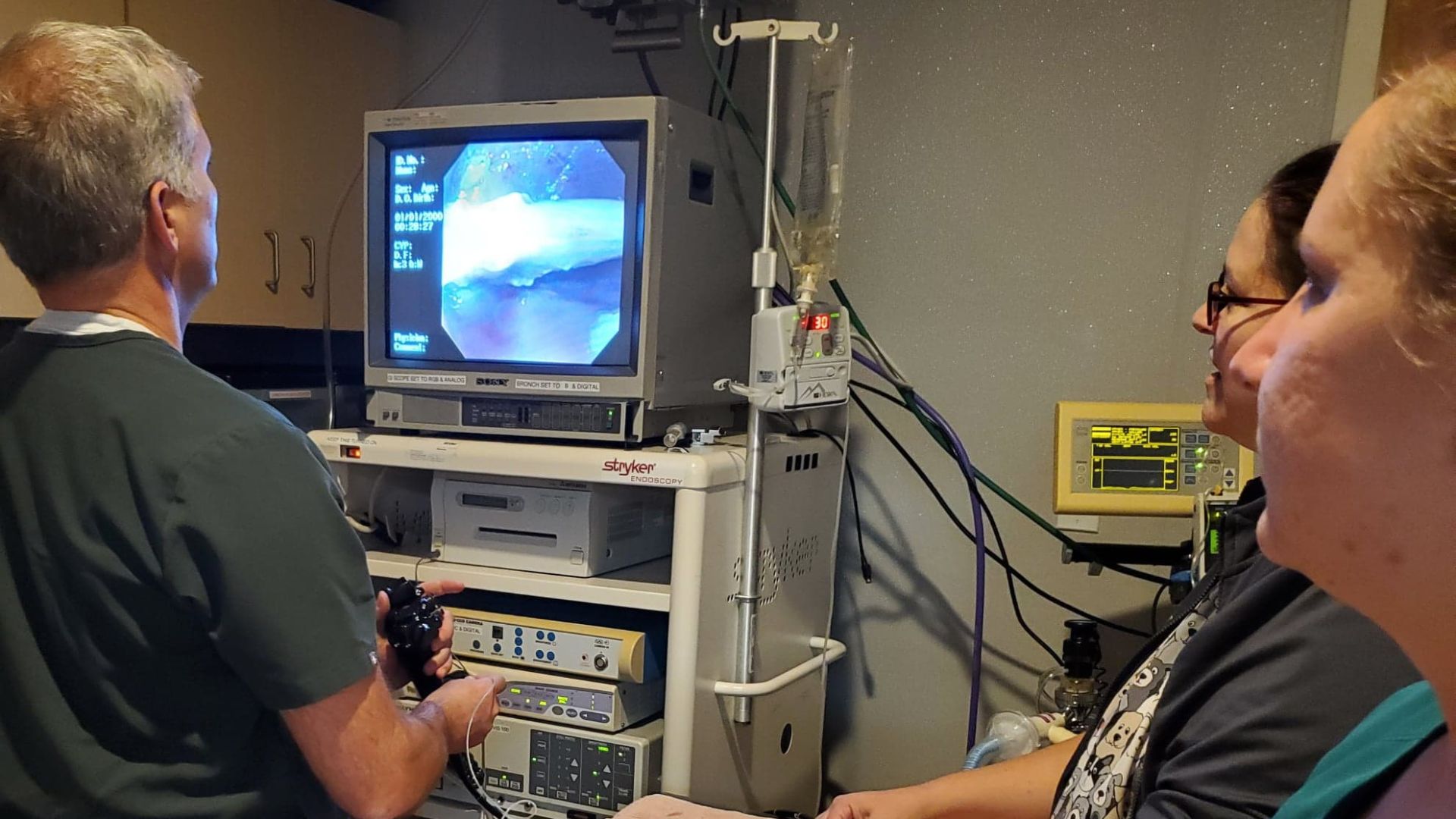 Pet Video Endoscopy In Lynchburg, VA 24501 Animal Emergency & Critical Care Of Lynchburg